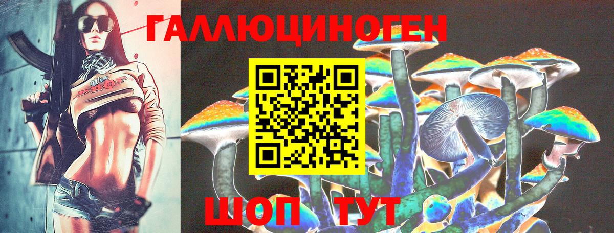 Галлюциногенные грибы Psilocybe  Вход с VPN  Красногорск 