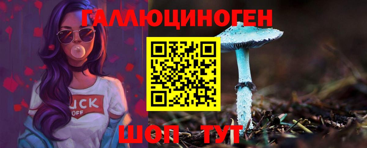 Псилоцибиновые грибы мицелий Красногорск